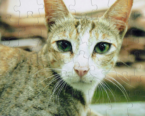 CHUNKY 16 x 20 Regular Puzzle , CHUNKY 16 x 20 Regular Puzzle - www.jigsawpuzzle.com, www.jigsawpuzzle.com