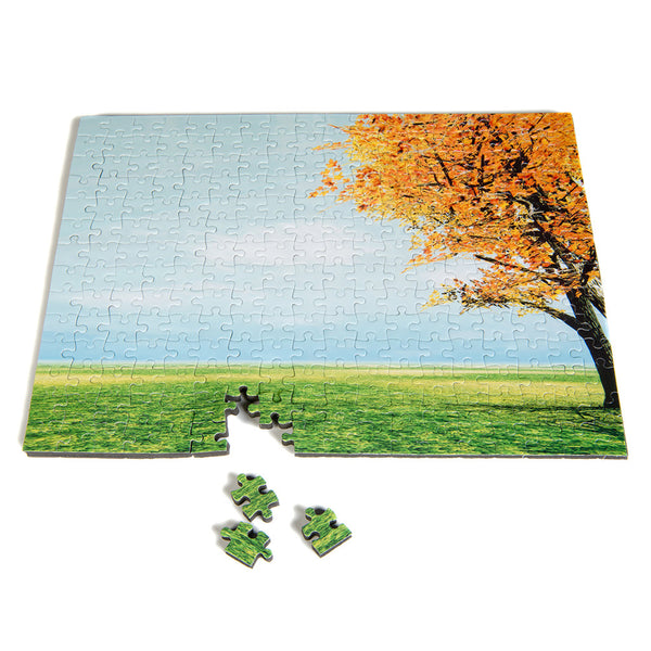 CHUNKY 11 x 14 Regular Puzzle